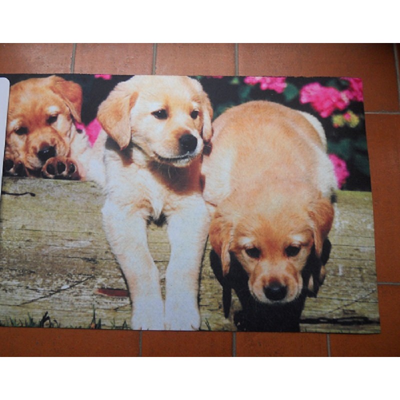 Code DCT-RB185 - Doormat (printed) - Puppies