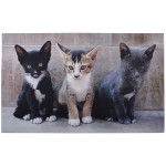 Esschert Design RB142 Capacho gatinhos