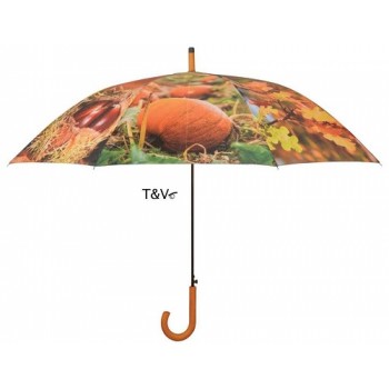 ref.DCT-TP208 - Chapéu de chuva- Outono